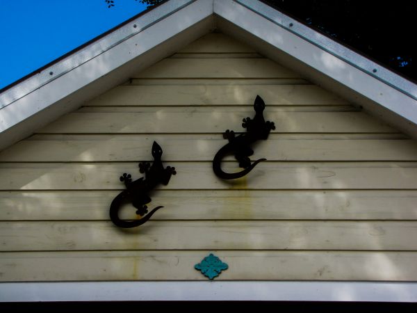 Cost of Shiplap Siding Installation in Olympia