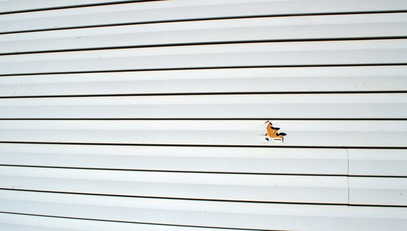 Seamless Siding Restoration